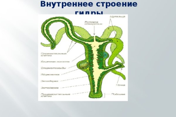 Как загрузить фотки в кракен