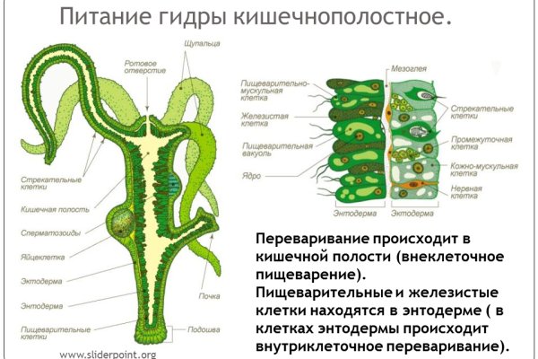 Не работает ссылка меги