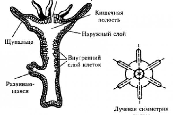 Мега зеркало официально