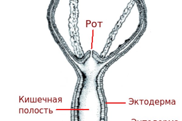 Кракен официальный сайт ссылка